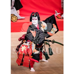 2026年5月 南座「歌舞伎鑑賞教室」ブロマイド／『正札附根元草摺』／005