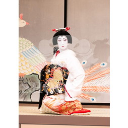 2026年5月 大阪松竹座さよなら公演「御名残五月大歌舞伎」ブロマイド／『鰯賣戀曳網』／070