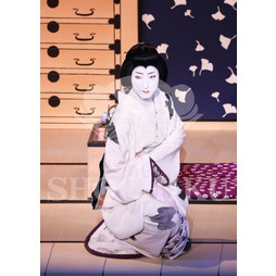 2026年5月 大阪松竹座さよなら公演「御名残五月大歌舞伎」ブロマイド／『心中月夜星野屋』／074