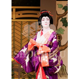 2026年5月 大阪松竹座さよなら公演「御名残五月大歌舞伎」ブロマイド／『鰯賣戀曳網』／091