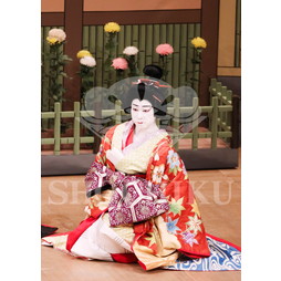 2026年5月 大阪松竹座さよなら公演「御名残五月大歌舞伎」ブロマイド／『鰯賣戀曳網』／108