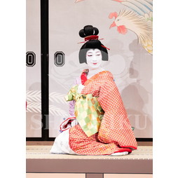 2026年5月 大阪松竹座さよなら公演「御名残五月大歌舞伎」ブロマイド／『鰯賣戀曳網』／151