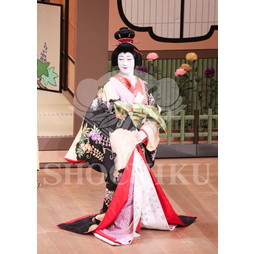 2026年5月 大阪松竹座さよなら公演「御名残五月大歌舞伎」ブロマイド／『鰯賣戀曳網』／152