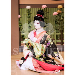 2026年5月 大阪松竹座さよなら公演「御名残五月大歌舞伎」ブロマイド／『鰯賣戀曳網』／153