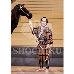 2026年5月 大阪松竹座さよなら公演「御名残五月大歌舞伎」ブロマイド／『鰯賣戀曳網』／163