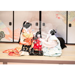 2026年5月 大阪松竹座さよなら公演「御名残五月大歌舞伎」ブロマイド／『鰯賣戀曳網』／184