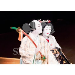 2026年5月 大阪松竹座さよなら公演「御名残五月大歌舞伎」ブロマイド／『鰯賣戀曳網』／186