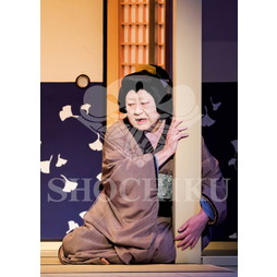 2026年5月 大阪松竹座さよなら公演「御名残五月大歌舞伎」ブロマイド／『心中月夜星野屋』／413