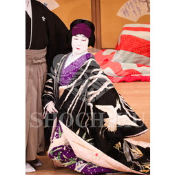 2026年5月 大阪松竹座さよなら公演「御名残五月大歌舞伎」ブロマイド／『當繋藝招西姿繪』／442