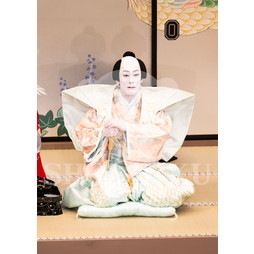 2026年5月 大阪松竹座さよなら公演「御名残五月大歌舞伎」ブロマイド／『鰯賣戀曳網』／473