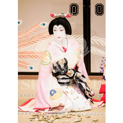 2026年5月 大阪松竹座さよなら公演「御名残五月大歌舞伎」ブロマイド／『鰯賣戀曳網』／477