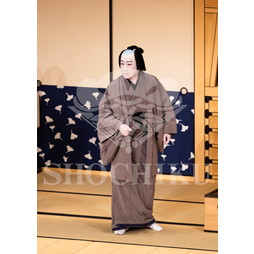 2026年5月 大阪松竹座さよなら公演「御名残五月大歌舞伎」ブロマイド／『心中月夜星野屋』／494