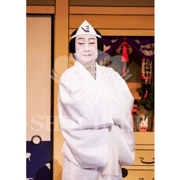 2026年5月 大阪松竹座さよなら公演「御名残五月大歌舞伎」ブロマイド／『心中月夜星野屋』／496