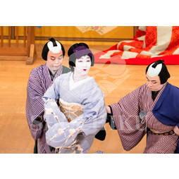 2026年5月 大阪松竹座さよなら公演「御名残五月大歌舞伎」ブロマイド／『當繋藝招西姿繪』／502