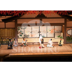 2026年5月 大阪松竹座さよなら公演「御名残五月大歌舞伎」ブロマイド／『鰯賣戀曳網』／517