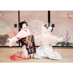 2026年5月 大阪松竹座さよなら公演「御名残五月大歌舞伎」ブロマイド／『鰯賣戀曳網』／520