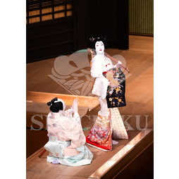 2026年5月 大阪松竹座さよなら公演「御名残五月大歌舞伎」ブロマイド／『鰯賣戀曳網』／522