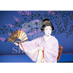 2026年6月 南座「南座特別公演 坂東玉三郎出演」ブロマイド／『秋の色種』／003