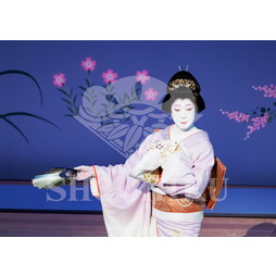 2026年6月 南座「南座特別公演 坂東玉三郎出演」ブロマイド／『秋の色種』／004