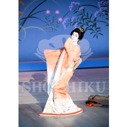 2026年6月 南座「南座特別公演 坂東玉三郎出演」ブロマイド／『秋の色種』／014