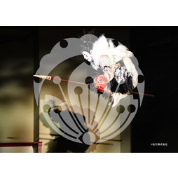 2026年7月8月 新橋演舞場 スーパー歌舞伎『もののけ姫』ブロマイド／019