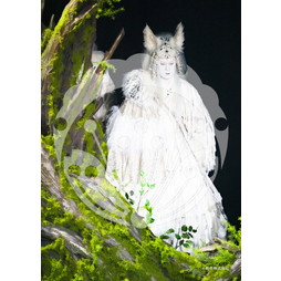 2026年7月8月 新橋演舞場 スーパー歌舞伎『もののけ姫』ブロマイド／080