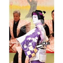 2026年10月 御園座「御園座錦秋歌舞伎」ブロマイド／『壽御園座花見踊』／036