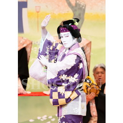 2026年10月 御園座「御園座錦秋歌舞伎」ブロマイド／『壽御園座花見踊』／037
