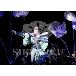 2026年10月 御園座「御園座錦秋歌舞伎」ブロマイド／『火の鳥』／048
