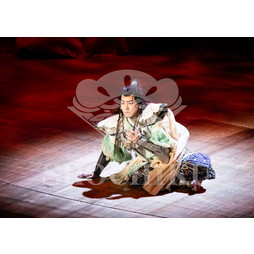 2026年10月 御園座「御園座錦秋歌舞伎」ブロマイド／『火の鳥』／049