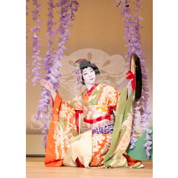 2026年10月 御園座「御園座錦秋歌舞伎」ブロマイド／『藤娘』／064