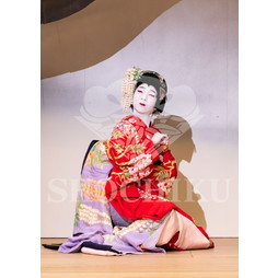 2026年10月 御園座「御園座錦秋歌舞伎」ブロマイド／『藤娘』／068