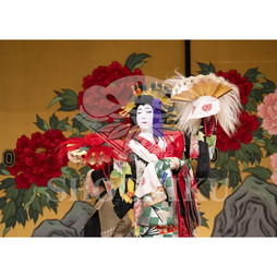 2026年10月 南座「市川團十郎特別公演」ブロマイド／『英執着獅子』／041