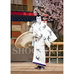 2026年10月 南座「市川團十郎特別公演」ブロマイド／『鞘當』／052