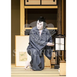 2026年10月 南座「市川團十郎特別公演」ブロマイド／『与話情浮名横櫛』／056