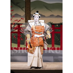 2026年10月 南座「市川團十郎特別公演」ブロマイド／『義経千本桜』／071