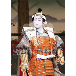 2026年10月 南座「市川團十郎特別公演」ブロマイド／『義経千本桜』／072