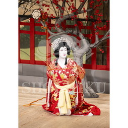2026年10月 南座「市川團十郎特別公演」ブロマイド／『義経千本桜』／104