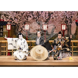 2026年10月 南座「市川團十郎特別公演」ブロマイド／『鞘當』／109