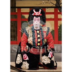 2026年10月 南座「市川團十郎特別公演」ブロマイド／『義経千本桜』／413