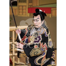 2026年10月 南座「市川團十郎特別公演」ブロマイド／『鞘當』／424