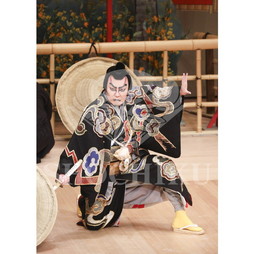 2026年10月 南座「市川團十郎特別公演」ブロマイド／『鞘當』／427