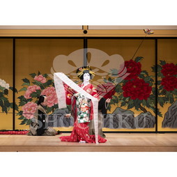 2026年10月 南座「市川團十郎特別公演」ブロマイド／『英執着獅子』／436