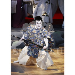 2026年10月 南座「市川團十郎特別公演」ブロマイド／『荒事 大力天無双』／468