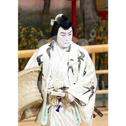 2026年10月 南座「市川團十郎特別公演」ブロマイド／『鞘當』／476