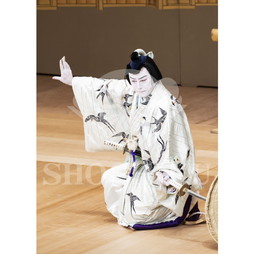 2026年10月 南座「市川團十郎特別公演」ブロマイド／『鞘當』／477