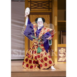 2026年10月 南座「市川團十郎特別公演」ブロマイド／『七つ面』／523