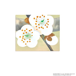 �w�i�� �p�l���� �猩���G�Ԏp� �t�������� 06