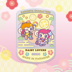 i~LN^[Y × VASARA@ANX^hibL[~L[j