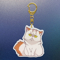 �@����m�K���_�� �M���̃n�T�E�F�C �L���P�[�̖����@�A�N�����L�[�z���_�[�i�l�t�j